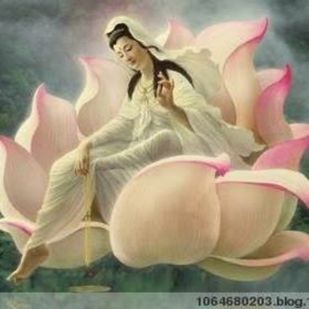 Meet your Posher, Helenana